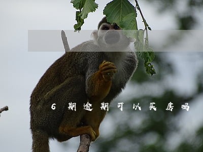6期逾期可以买房吗 6期逾期可以买房吗