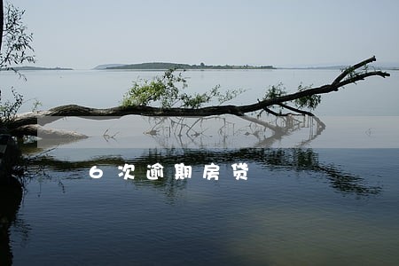 6次逾期房贷