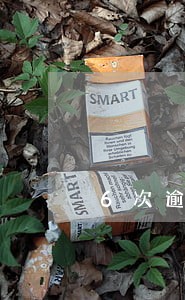 6次逾期能贷款买房吗 6次逾期能贷款买房吗