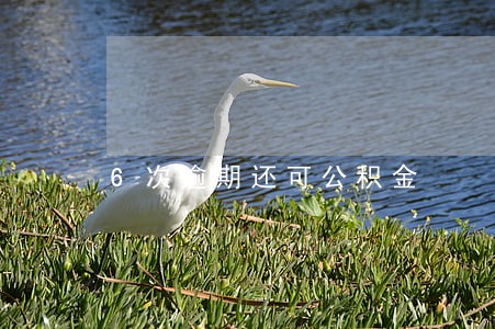 6次逾期还可公积金 6次逾期还可公积金