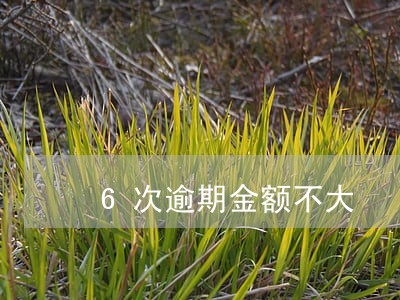 6次逾期金额不大 6次逾期金额不大