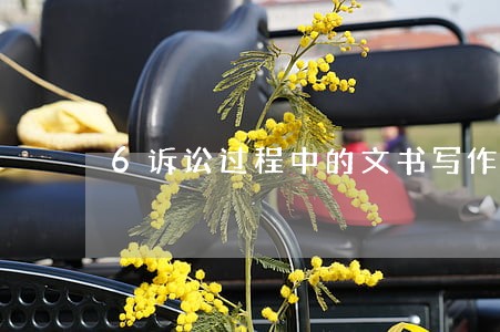 6诉讼过程中的文书写作 6诉讼过程中的文书写作