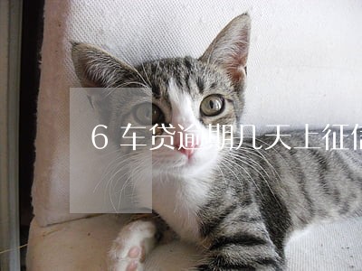 6车贷逾期几天上征信 6车贷逾期几天上征信