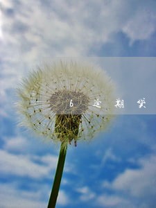 6逾期贷款的口子 6逾期贷款的口子