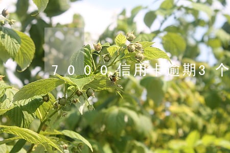 7000信用卡逾期3个月 7000信用卡逾期3个月