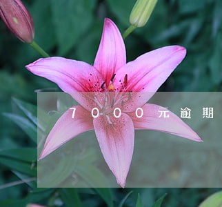 7000元逾期一年利息