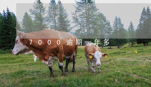 7000逾期一年多