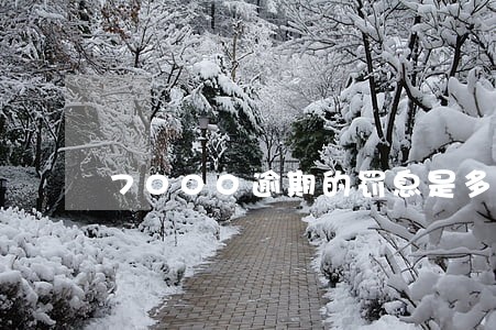 7000逾期的罚息是多少