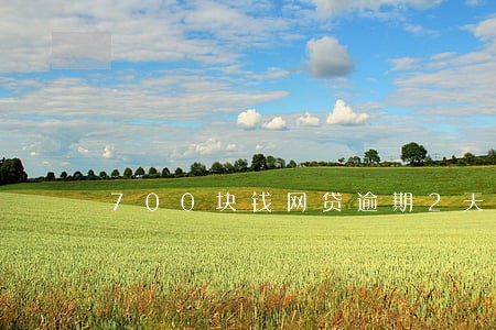 700块钱网贷逾期2天 700块钱网贷逾期2天