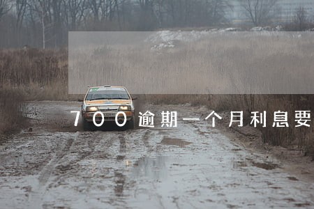 700逾期一个月利息要多少 700逾期一个月利息要多少