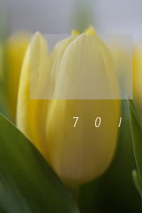 701室房产拍卖公告 701室房产拍卖公告