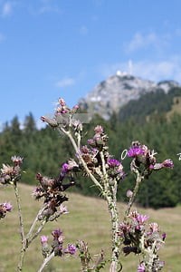 704校花逾期计算方式 704校花逾期计算方式