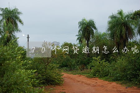 70个网贷逾期怎么办呢 70个网贷逾期怎么办呢