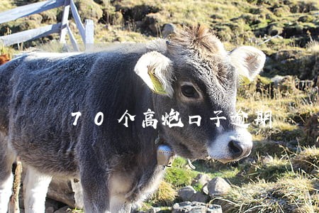 70个高炮口子逾期 70个高炮口子逾期