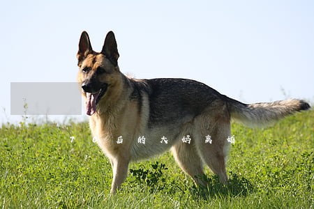 70后的大妈离婚 70后的大妈离婚