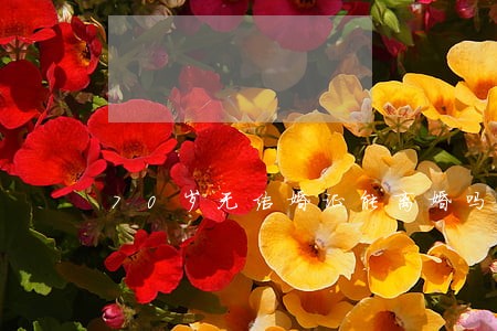 70岁无结婚证能离婚吗 70岁无结婚证能离婚吗