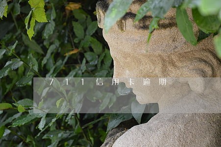 711信用卡逾期