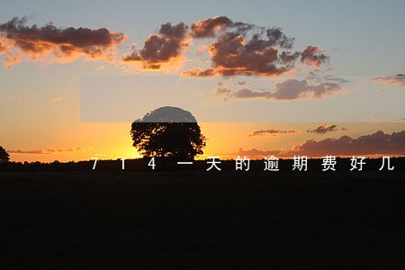 714一天的逾期费好几百 714一天的逾期费好几百