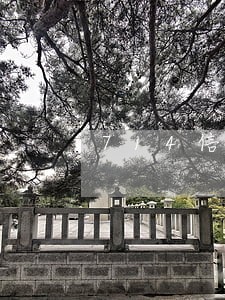 714信用卡逾期了怎么办 714信用卡逾期了怎么办