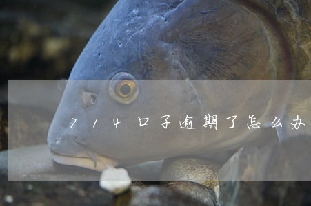 714口子逾期了怎么办 714口子逾期了怎么办