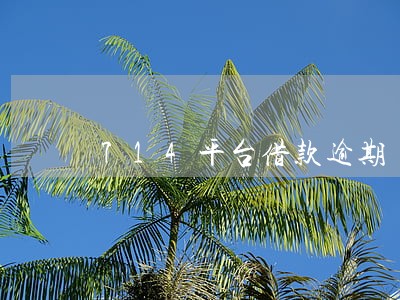 714平台借款逾期