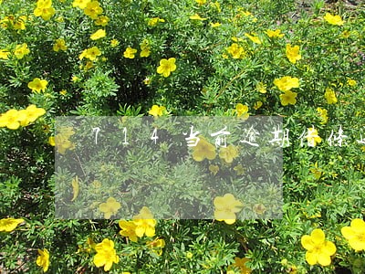 714当前逾期借条还能下吗 714当前逾期借条还能下吗