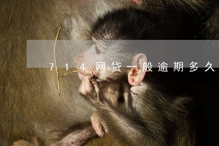 714网贷一般逾期多久停止 714网贷一般逾期多久停止