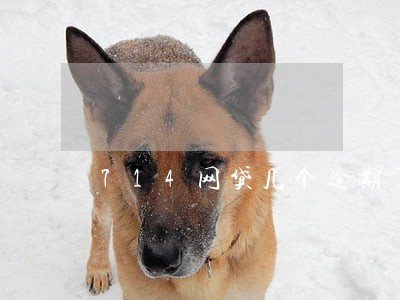 714网贷几个逾期了怎么办 714网贷几个逾期了怎么办