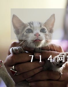 714网贷只还本金可以不 714网贷只还本金可以不