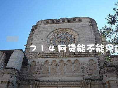 714网贷能不能只还本金
