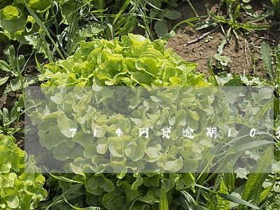 714网贷逾期10多天 714网贷逾期10多天