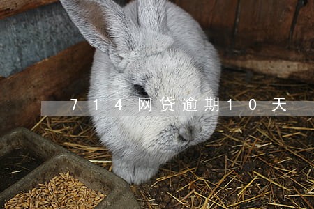 714网贷逾期10天 714网贷逾期10天