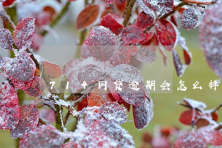 714网贷逾期会怎么样呢 714网贷逾期会怎么样呢