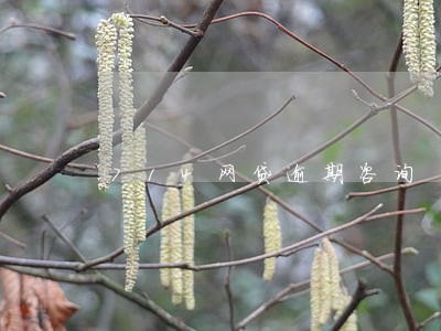 714网贷逾期咨询 714网贷逾期咨询