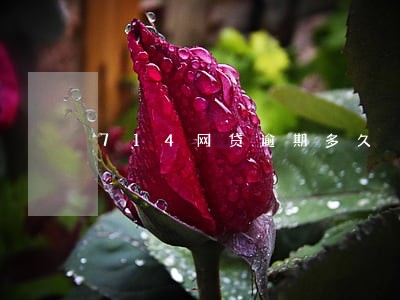 714网贷逾期多久 714网贷逾期多久