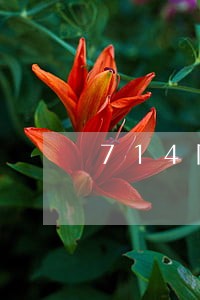 714网贷逾期多久可以协商 714网贷逾期多久可以协商