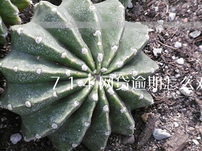 714网贷逾期怎么对待催收 714网贷逾期怎么对待催收