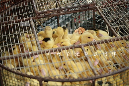 714网贷逾期收到律师函 714网贷逾期收到律师函