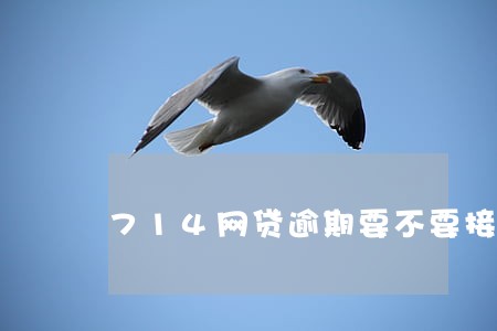 714网贷逾期要不要接电话 714网贷逾期要不要接电话