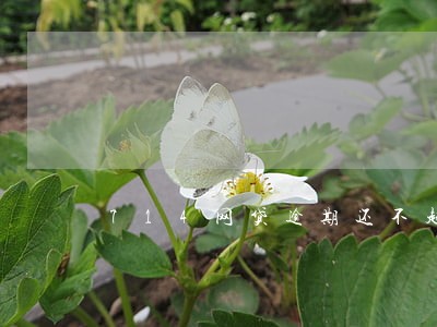 714网贷逾期还不起怎么办 714网贷逾期还不起怎么办