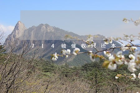 714被催收只还本金 714被催收只还本金