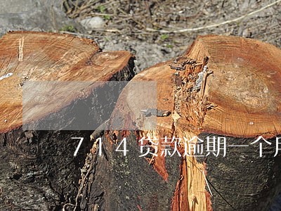 714贷款逾期一个月会怎样 714贷款逾期一个月会怎样