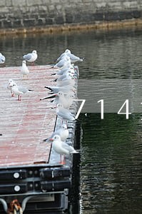 714贷款逾期上门 714贷款逾期上门