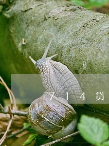 714贷款逾期会上征信么