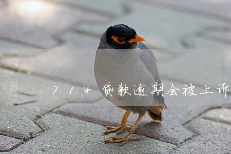 714贷款逾期会被上诉吗 714贷款逾期会被上诉吗