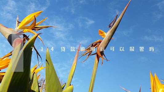714贷款逾期后可以报警吗 714贷款逾期后可以报警吗