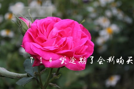714贷逾期了会影响买车吗 714贷逾期了会影响买车吗