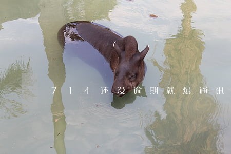 714还没逾期就爆通讯录 714还没逾期就爆通讯录