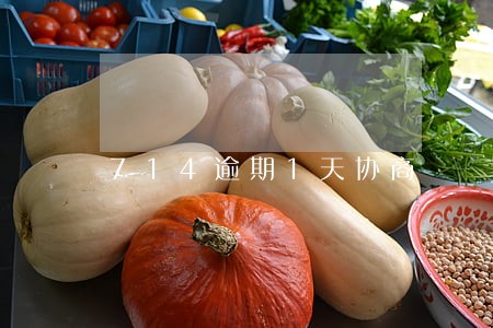 714逾期1天协商 714逾期1天协商