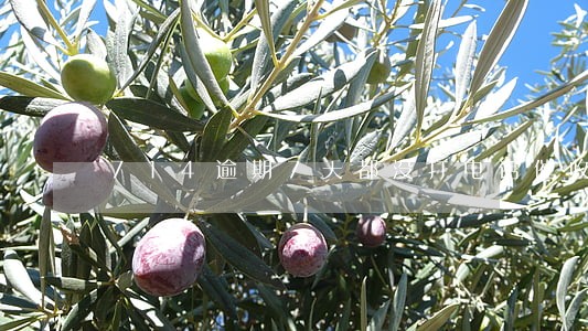 714逾期7天都没打电话催收